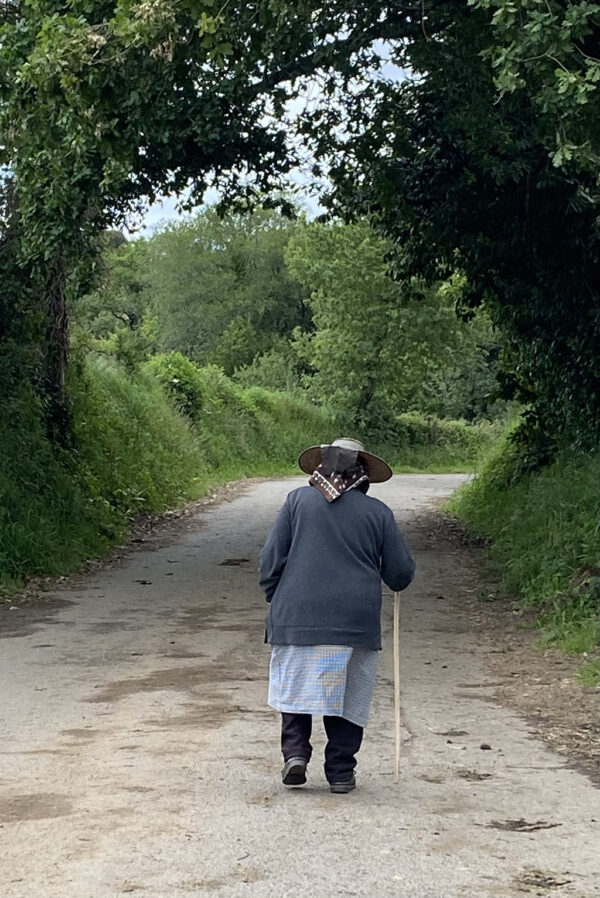 Camino de Santiago